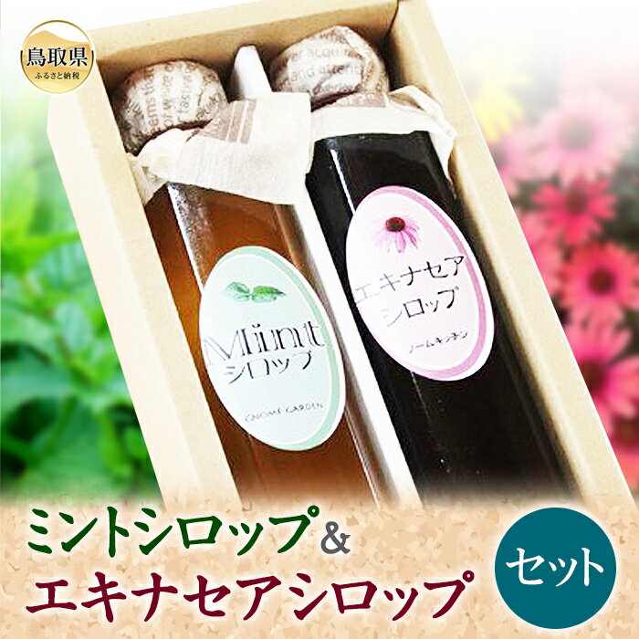 【ふるさと納税】り25-003 S-7 ミントシロップ＆エキナセアシロップセット