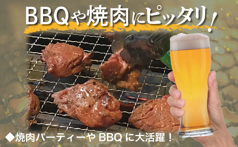 【満足牛ハラミ】オリジナルスパイス仕込み 合計1.5kg 【味付け ハラミ 小分け 焼くだけ 簡単調理 BBQ 牛肉 250g×6P】 015B502