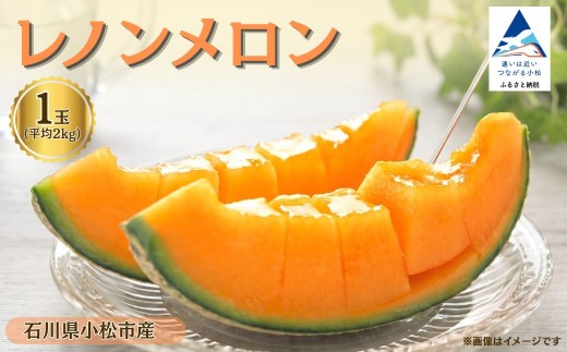 【先行予約】 レノンメロン 1玉 約2kg メロン 果物 フルーツ ギフト 贈答用 名産 特産品 赤肉 2キロ | 石川県 小松市 【JAあぐり】