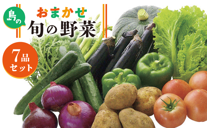旬のお野菜7品セット 《壱岐市》【壱岐市農業協同組合】[JBO001] 新鮮 やさい ベジタブル 食材 詰め合わせ 10000 10000円 のし プレゼント ギフト