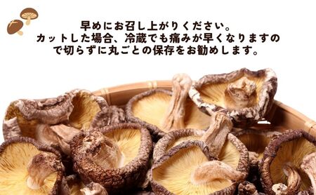 干しシイタケ(どんこ100g×2、こつぶ80g×2、スライス60g×2)|豊後高田市 しいたけ