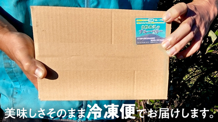 【数量限定】 冷凍ブルーベリー2kg 国産 [AD003tu]