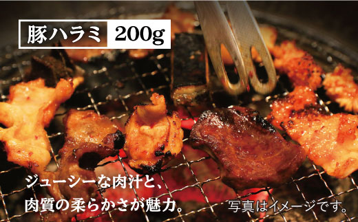 【味付き・大容量】ホルモン専門店の豪華！焼き肉4種セット計1kg（和牛ハラミ 400g / 豚ハラミ・丸腸・シマ腸 各200g） 吉野ヶ里町/三田川ホルモン専門店 [FAC011]