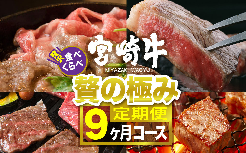 
宮崎牛食べ比べ贅の極み ９ヶ月コース 肉 牛 牛肉 定期便
