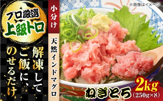 天然 まぐろ ねぎとろ 約2kg（約250g×8パック） 鮪 マグロ 魚 ネギトロ 横須賀【横須賀商工会議所 おもてなしギフト事務局（本まぐろ直売所 横須賀本店）】 [AKAK009]