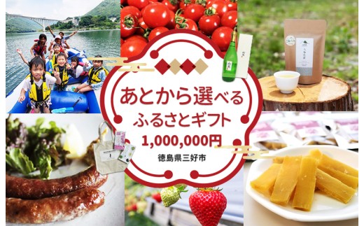 三好市 ふるさと納税 カタログ寄付 100万円コース ゆっくりえらべる カタログ あとから選べる 肉 米 野菜 酒 観光 宿泊 体験 アクティビティ 定期便 スイーツ フルーツ 選べる ギフト セレクト 【 徳島県 三好市 】