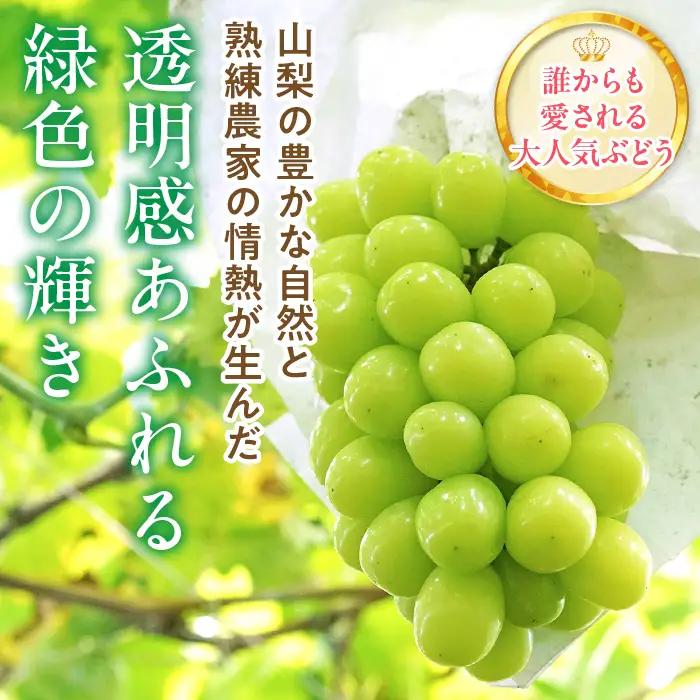 【ふるなびWEEK対象】 【2026年発送★先行予約】シャインマスカット 2～2.2kg 222-008-2-26y | シャインマスカット 発送 笛吹市 山梨県 フルーツ 果物 ぶどう 葡萄 大粒 