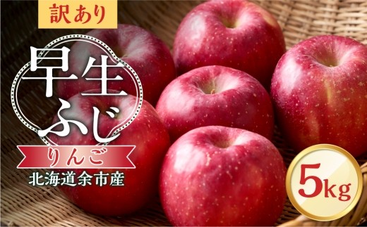 
                  【先行予約：2026年10月中旬より発送】訳アリ りんご（早生ふじ）5kg【北海道余市町産】
                