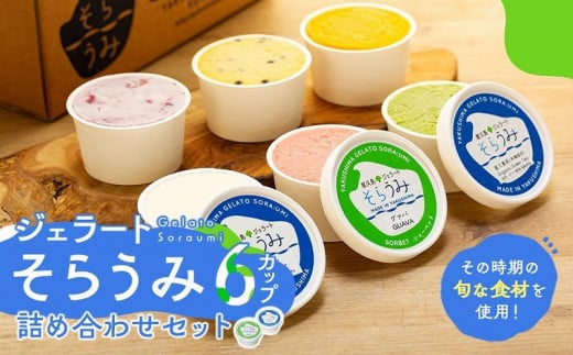 
            手作り ジェラート 6カップ 詰め合わせ セット＜屋久島産の新鮮食材を使用＞
          