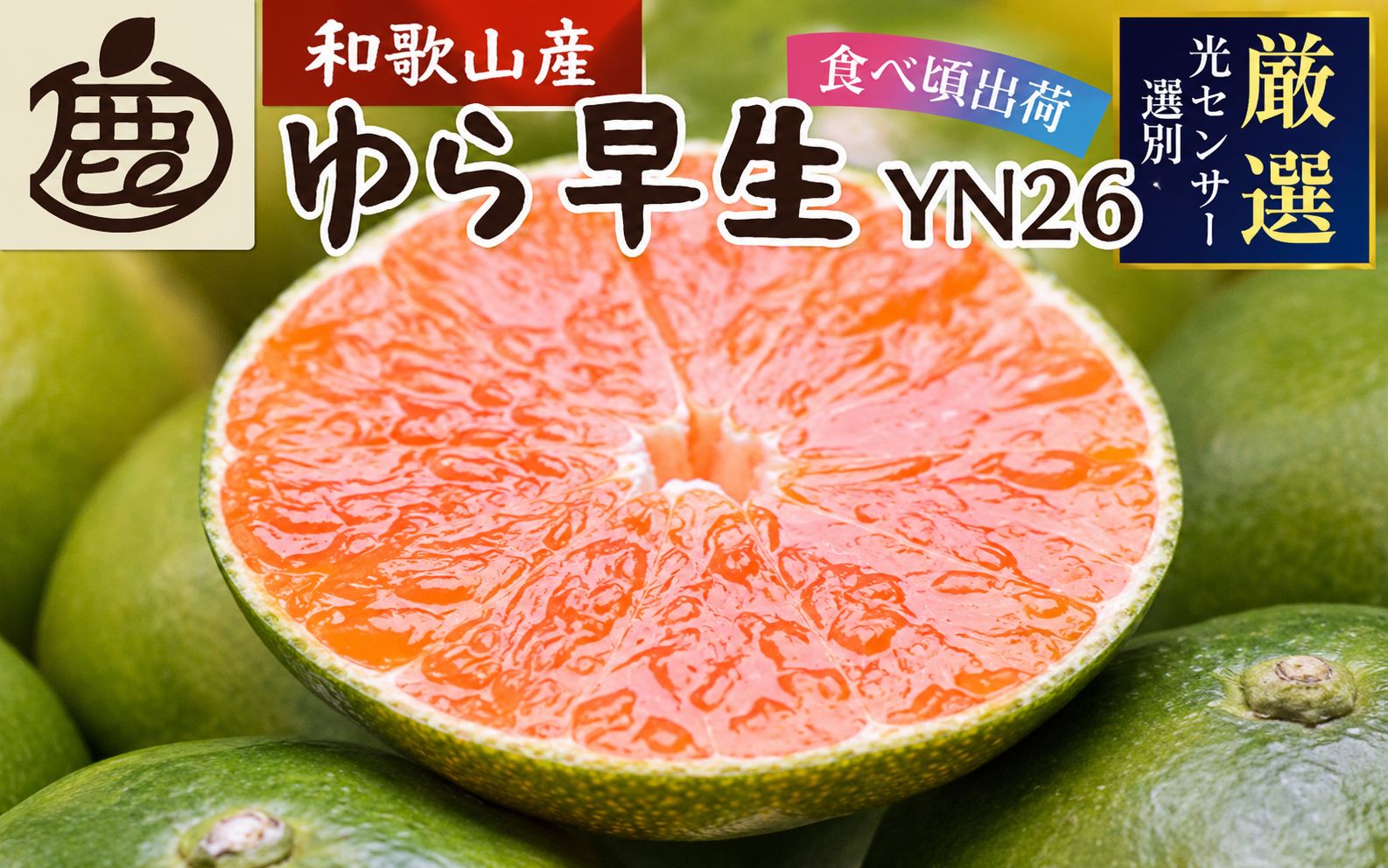 【先行予約】プレミアム有田みかん(ゆら早生) 2.5kg+250g（傷み補償分）※10月より発送※北海道・沖縄・離島配送不可 / みかん ミカン 有田みかん 柑橘 フルーツ 早生みかん 和歌山【ikd001D】
