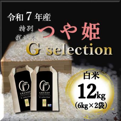 ふるさと納税 鶴岡市 【令和7年産】山形県鶴岡産 Gセレクション つや姫 白米 12kg