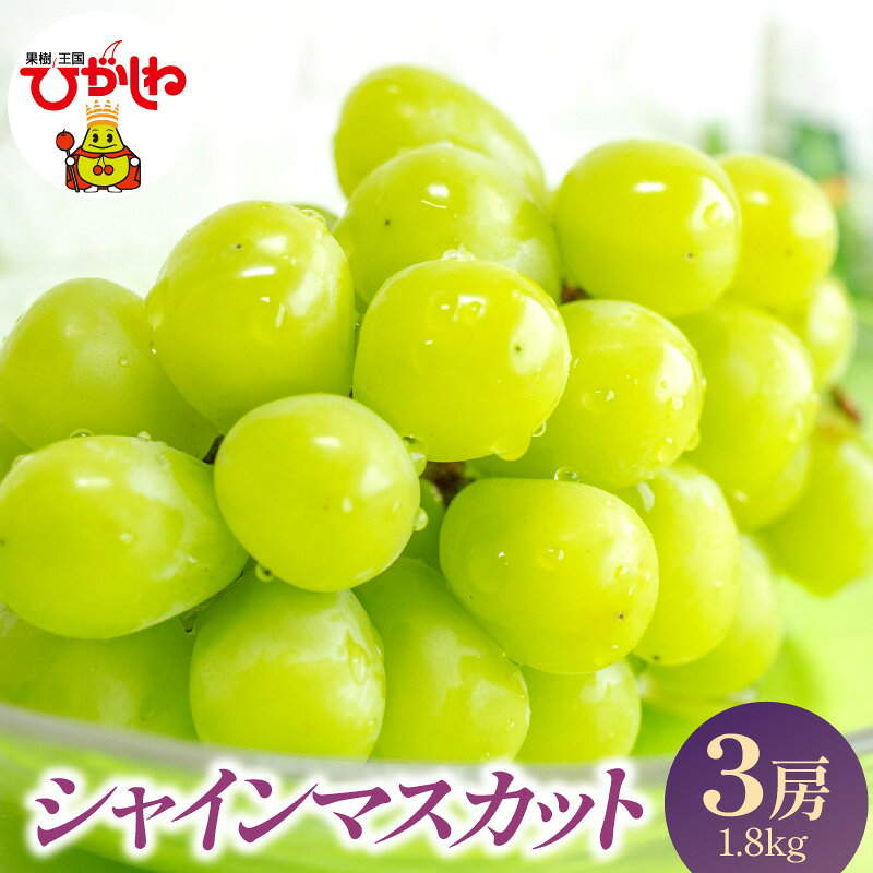 【ふるさと納税】【2026年産】 シャインマスカット 3房 1.8kg ( 1房 約600g )| シャイン マスカット ぶどう ブドウ 葡萄 フルーツ 果物 くだもの 期間限定 先行予約 お取り寄せ ご当地 グルメ 産地直送 送料無料 秋 旬 東北 山形県 東根市