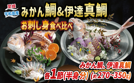 みかん鯛 & 伊達真鯛 270g~350g 刺身 食べ比べ 宇和島プロジェクト  刺身 みかん 蜜柑 柑橘  刺身 人気 刺身 真鯛 刺身 鯛 刺身 マダイ 刺身 タイ お刺身 お刺し身 刺し身  冷