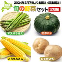 【ふるさと納税】＜2025年5月下旬よりお届け＞4回お届け！旬の野菜セット【アスパラガス・とうもろこし・カボチャ・じゃがいも】定期便【 ふるさと納税 人気 おすすめ ランキング 北海道 壮瞥 定期便 野菜 贈り物 贈物 贈答 ギフト セット 北海道 壮瞥町 送料無料 】 SBTA045