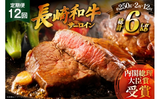 和牛 ステーキ 長崎和牛 サーロイン 250g 2枚 ソース付き 12回 定期便 計6kg [萩原食肉産業 長崎県 平戸市 hr42bgy410030] 肉 牛肉 焼肉 にく 平戸 希少 鉄板焼き