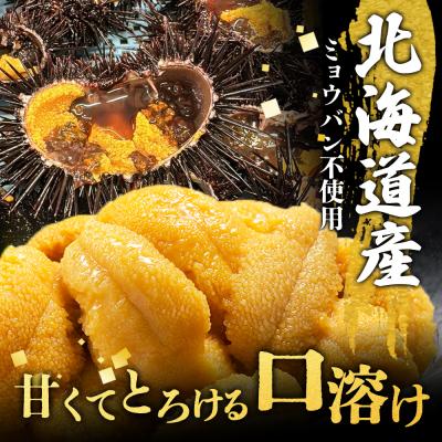 ふるさと納税 羽幌町 北海道産 塩水ウニ 100g 【6月上旬から8月中旬発送予定】【0211702】 |  | 01