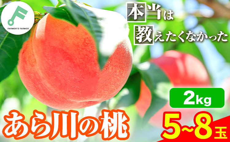 
            桃 紀の川市産 あら川の桃 約2kg 5~8玉 FARMER'S FARMER《7月上旬-8月上旬頃出荷》 和歌山県 紀の川市 果物 フルーツ 桃 もも モモ 旬
          