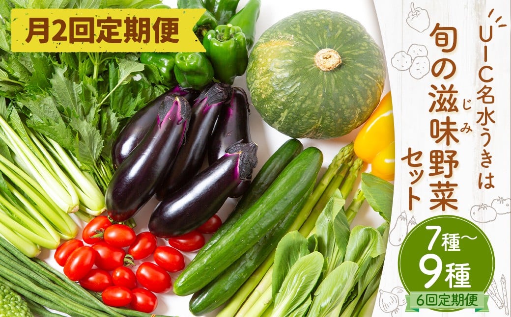 
                  【月2回定期便】UIC 名水うきは 旬の滋味（じみ）野菜セット (ひと月2回×3か月=計6回)
                
