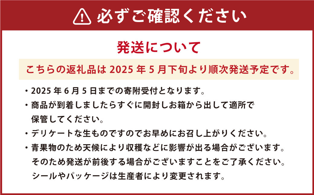 【2024年5月下旬発送開始】熊本県産ブラックジャック(高級西瓜) 約5kg