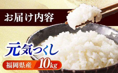 【令和6年産】果物屋さんが選んだ米 元気つくし 10kg 《築上町》【南国フルーツ株式会社】米 白米 お米 ブランド米[ABET011]