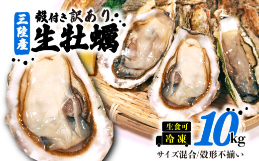 訳あり 数量限定 生産調整品 牡蠣 10kg (生食可) かき カキ 冷凍 岩手県産 殻付き 生食 生食用 訳あり わけあり 大きさ不揃い 不揃い 三陸 三陸産 株式会社國洋 岩手県 大船渡市
