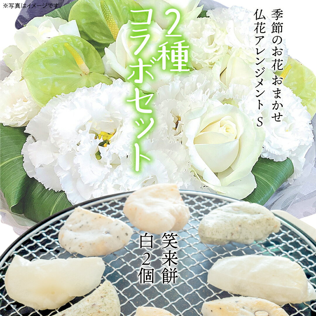 【ふるさと納税】【 筑西市 ふるさと納税限定 コラボ 】 《 季節のお花の仏花アレンジメントS 》《 笑来餅 2個 セット（白2個） 》 アレンジメント 生花 ギフト プレゼント 誕生日 記念日 敬老 餅 もち もち米 [ZZ049ci]