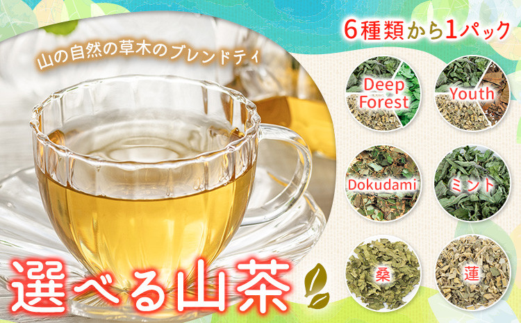 
選べる 山茶 6種類 から 1パック NARUMIFARM《30日以内に出荷予定(土日祝除く)》｜ お茶 茶 ハーブティー 自然栽培 Deep Forest ミント Youth 桑 蓬 Dokudami ブレンドティー ブレンド オーガニック 飲料 飲み物 お家時間 徳島県 上勝町 送料無料
