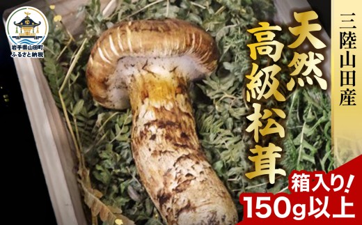 松茸 150g以上 きのこ キノコ 秋の味覚 野菜