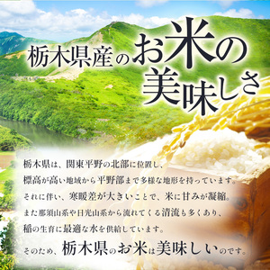 下野市産 とちぎの星 米 20kg | 栃木県 下野市
