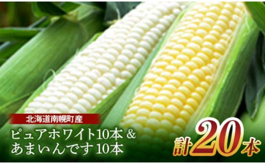 令和6年発送 北海道産 とうもろこし 食べ比べ ピュアホワイト10本＆あまいんです10本 朝採れ 一番果 生食 産地直送 数量限定 期間限定 NP1-171