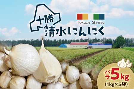 【北海道産】十勝育ちのにんにく バラ5kg _S021-0026