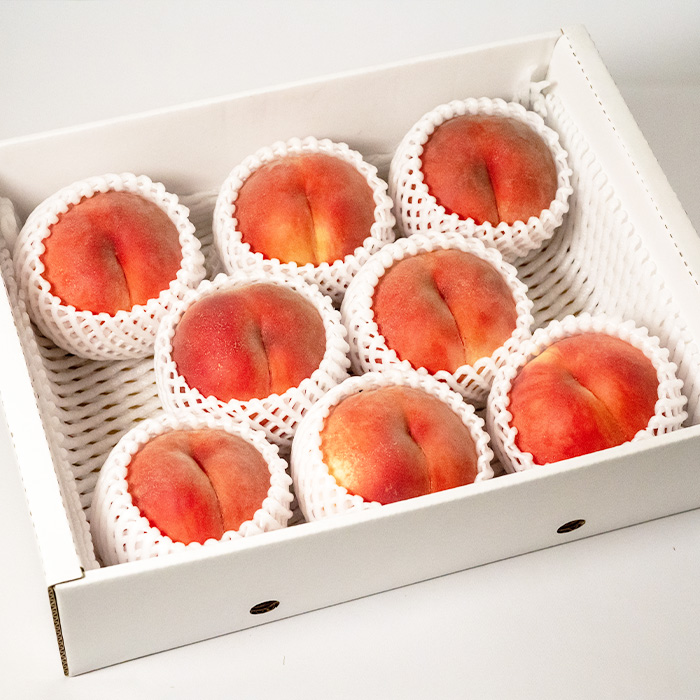 やまがたの桃(白桃) あかつき 秀品 約3kg(6～12玉程度) 【令和8年産先行予約】FS23-810