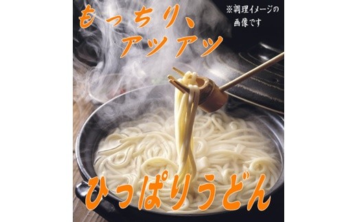 ひっぱりうどん　260g　10袋入