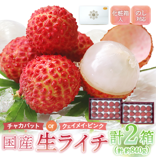 【先行予約/数量限定】希少 国産 綾生ライチ 2箱セット（化粧箱入り）  宮崎県 綾町産 ライチ 贈答 ギフト プレゼント お中元【JA綾町】_A0114-2371