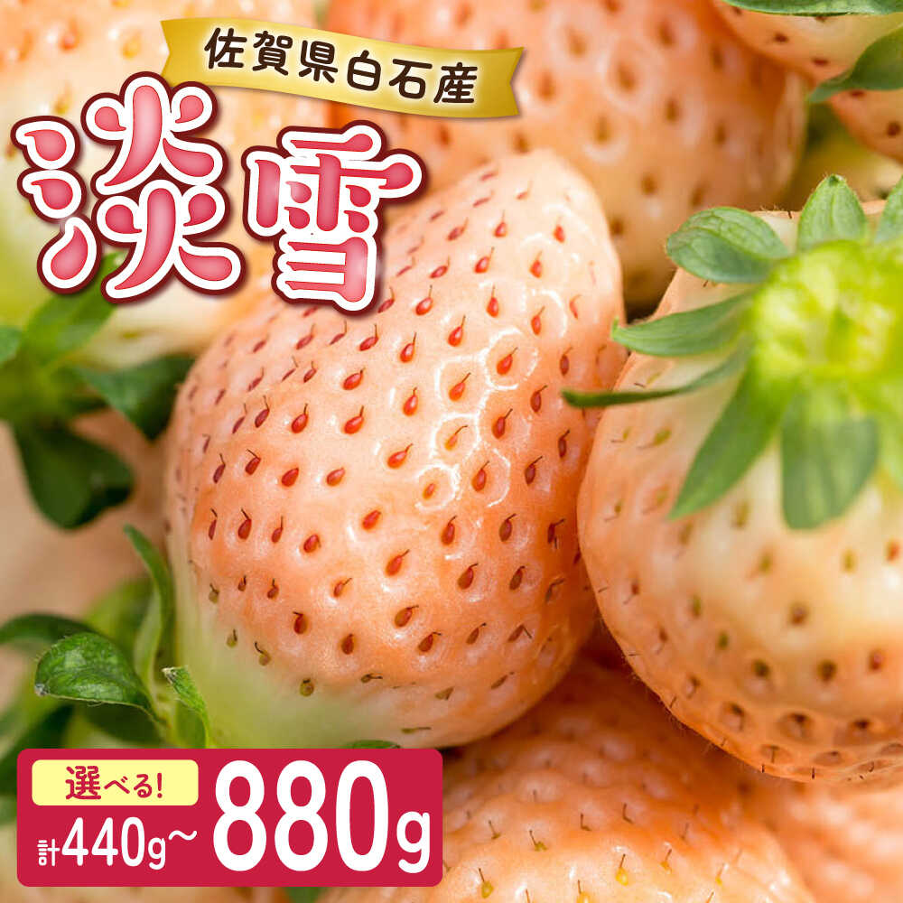 【ふるさと納税】【2026年発送分 先行予約】【選べる容量】淡いピンクの白いちご「淡雪」220g×2パック-4パック / イチゴ 苺 フルーツ 果物 / 佐賀県 / 岸川農園 [41ASAG004]