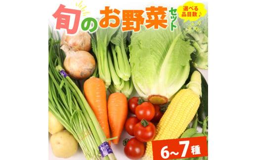 野菜 セット 6~7品目 以上 お野菜 季節 野菜 旬 新鮮 産地直送 詰め合わせ やさい おいしい 自然 セット 美味しい たっぷり 丸新柴本製茶 静岡県 牧之原市