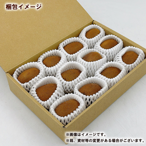 【2026年2月下旬から順次発送】グリーンキウイ 10～12玉入り （ 国産 愛媛キウイ フルーツ 果物 くだもの お取り寄せ 産地直送 数量限定 人気 おすすめ 愛媛県 松山市 送料無料 フジ・アグ