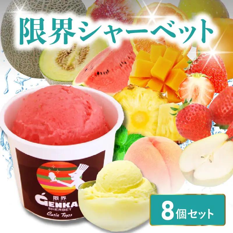 限界シャーベット　8個セット J06005