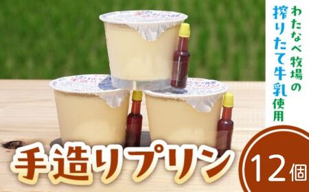 【テレビで紹介されました】手造りプリン12個セット／ 冷蔵 ネッカ牛乳 ネッカ卵 蒸しプリン ソース別 素朴 デザート スイーツ おやつ グルメ ご褒美 新鮮 生乳 搾りたて 自然派 お土産 自宅用 ギフト 贈り物 人気 テレビ TV 紹介 話題 島根県 安来市 【10-WB-25】