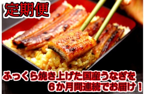 6ヶ月定期便 国産うなぎ蒲焼大サイズ２本セット