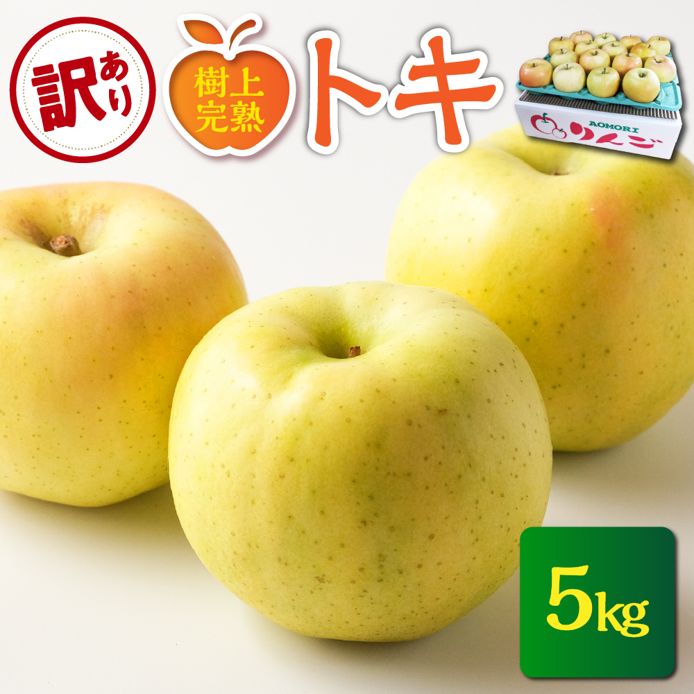 【2026年10月発送】【訳あり】 りんご 約5kg トキ〈樹上完熟〉 青森産