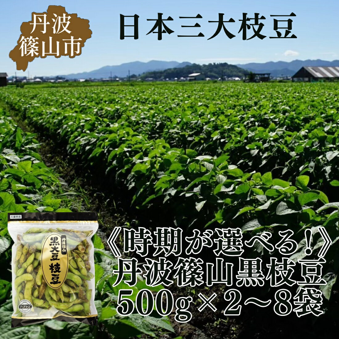 【ふるさと納税】秋の味覚「丹波黒枝豆」　収穫時期を選べる！ 500g × 2～8袋　 【2025年10月以降発送】 | 兵庫県 丹波篠山市 プレミアム枝豆 期間限定 黒枝豆 えだまめ エダマメ お取り寄せグルメ 高級 特産品 名産品 おつまみ おうち居酒屋