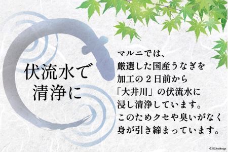 うなぎ 国産 鰻 蒲焼き 4尾 12回 定期便