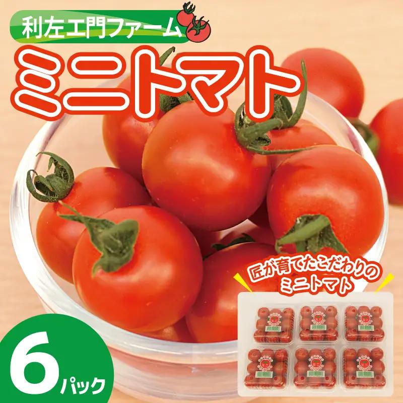 泉州産 新鮮ミニトマト 6パック 約1kg