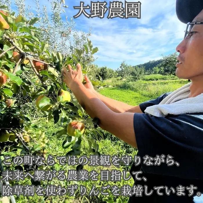 サンふじりんごジュース1L×2本