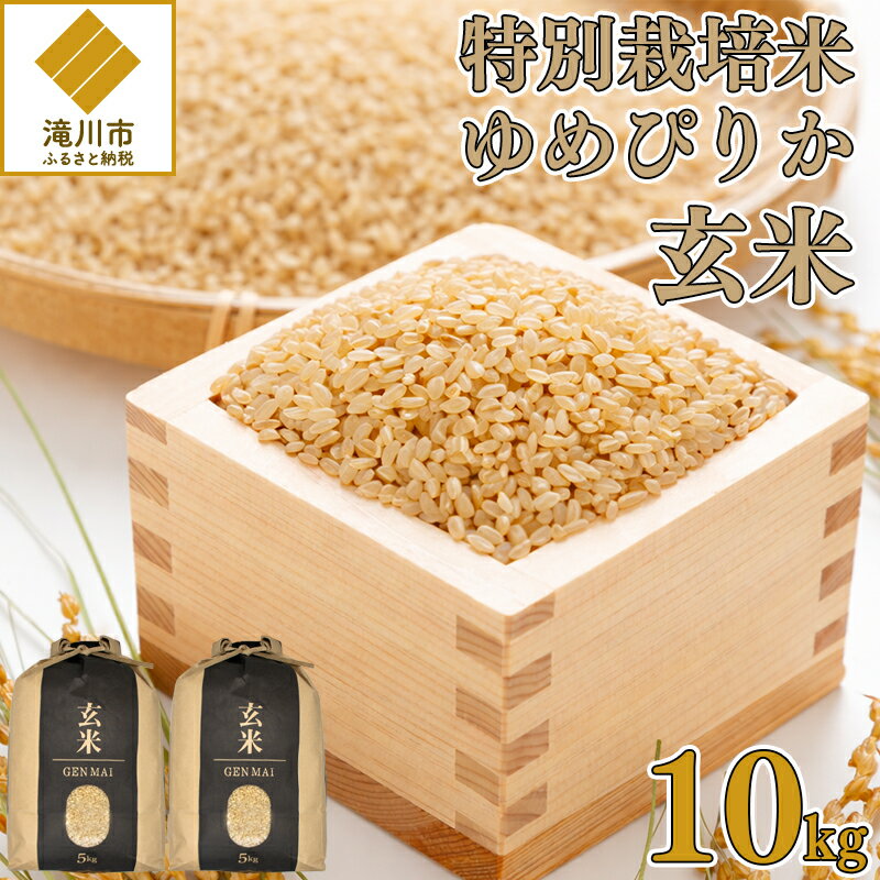 【ふるさと納税】【特別栽培米】令和7年産 滝川産ゆめぴりか【玄米】10kg 特A ブランド米 北海道 | 米 こめ お米 単一米