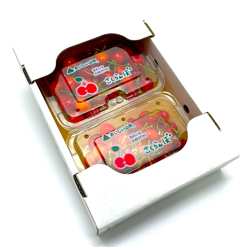 【定期便5回】至高の味わい便 極みミニ 【令和8年産先行予約】FS25-618