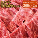 【ふるさと納税】あか牛 阿蘇溶岩焼きセット にんにくレモンステーキ 300g×2枚 合計600g 溶岩プレート付き レモン胡椒 レモンだれ ガーリックスパイス付き 熊本うまかもん大サーカス グランプリ 牛肉 和牛 ステーキ サーロイン 焼肉 阿蘇 熊本産 九州 国産 送料無料