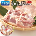 【ふるさと納税】天草大王精肉セット 1.5kg 地鶏 鶏肉 セット 熊本県 上天草産 モモ ムネ ササミ