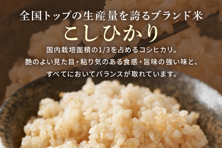 令和7年産新米 玄米 5kg 栽培期間中農薬不使用 こしひかり 茨城県産 米 お米 コメ ご飯 コシヒカリ 食味豊か 甘み 旨み 冷めても 美味しい お弁当 向け 食卓常備 産地直送 茨城県 潮来市 